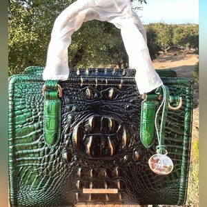 NWT Brahmin CAMI in EVERGREEN Ombre Melbourne Satchel